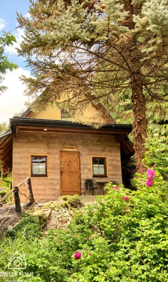 Вілла Oaza Tatry III Закопане Екстер'єр фото